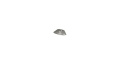 Segway Ninebot Packaging Material - Stem Top Decorative Logo; P65; Segway Kickscooter P Series - AB.50.0043.36